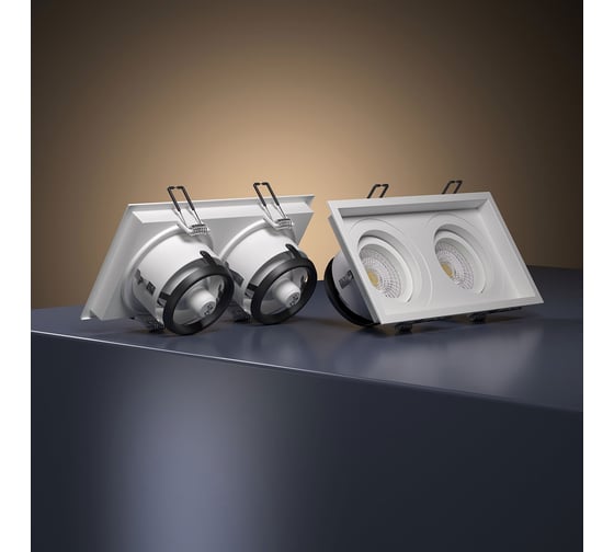 Встраиваемый светильник Elektrostandard 1071/2 MR16 WH белый a036504