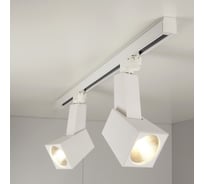 Потолочный светильник Elektrostandard Perfect Белый 38W a039301