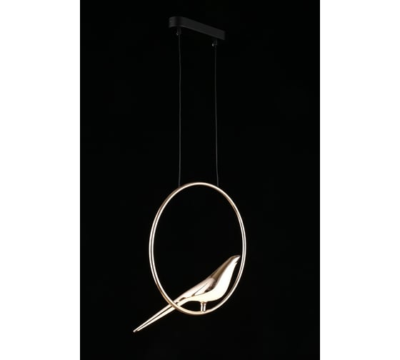 Подвесной светодиодный светильник Aployt astor APL.822.06.10