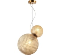 Подвесной светильник Aployt patunia APL.301.16.02