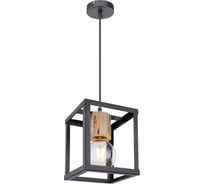 Подвесной светильник GLOBO LIGHTING hagar globo 15476H