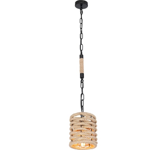 Подвесной светильник GLOBO LIGHTING halia globo 15679H 1