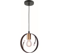 Подвесной светильник GLOBO LIGHTING vigo globo 15346-1