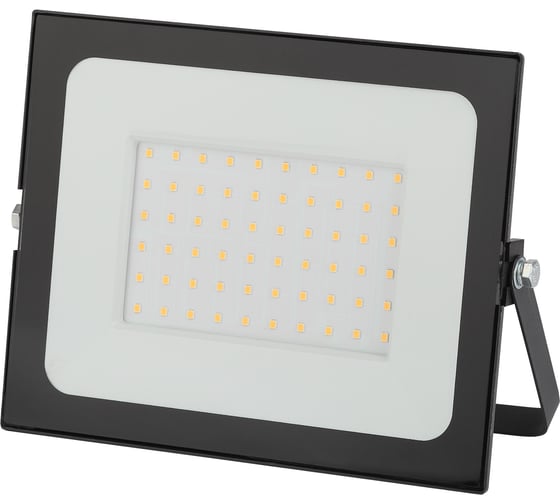 Прожектор ЭРА Eco LPR-50-2700К SMD Eco Slim 50Вт 4500Лм 2700K 205х160 Б0036383