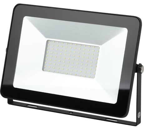 Прожектор ЭРА Eco LPR-100-6500K SMD Eco Slim 100Вт 9000Лм 6500K 305х205 Б0036387