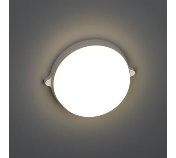 Светодиодный светильник REV Round IP65 12W, 4000К, влагозащита 28919 7
