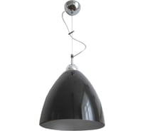 Светильник ЭЛЕТЕХ MAXEL Сканди дуэт НСБ 72-60 М55 1005251541