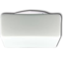 Светильник ЭЛЕТЕХ Квадро 200 НПО 22-2х60-211 опал матовый ИУ 1005152022