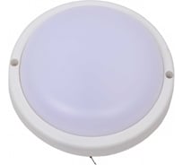 Настенно-потолочный светодиодный светильник для ЖКХ КОСМОС 10Вт 6500K 900Лм IP65 круг, KOC_DPO10WR1.64K