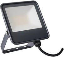 Прожектор KANLUX iq-led fl-30w-nw 33882