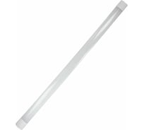 Светильник LightPhenomenON LT-WP-03-IP65-36W-6500К LED Е1604-1003