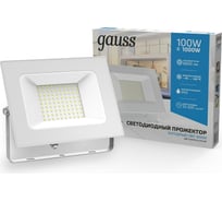 Светодиодный прожектор Gauss Elementary 100W 9500lm IP65 6500К белый 613120300