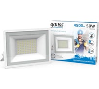 Светодиодный прожектор Gauss Elementary 50W 4500lm IP65 6500К белый 613120350 15869367