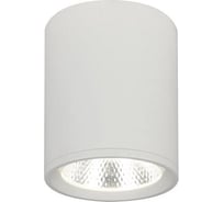 Потолочный светильник ESCADA 12W 4200K белый матовый 20003SMU/02LED SWH