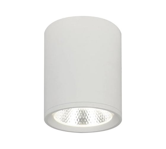 Потолочный светильник ESCADA 12W 4200K белый матовый 20003SMU/02LED SWH 1