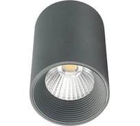 Потолочный светильник ESCADA LED 8W 4200K серый матовый 20003SMU/01LED SGY