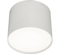 Потолочный светильник ESCADA 9W 4200K белый матовый 20004SMU/01LED SWH