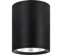 Потолочный светильник ESCADA 12W 4200K черный матовый 20003SMU/02LED SBK
