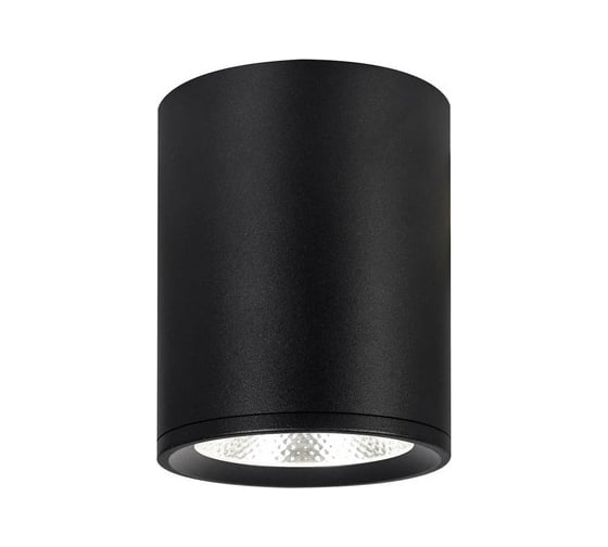 Потолочный светильник ESCADA 12W 4200K черный матовый 20003SMU/02LED SBK