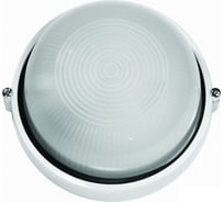 Светильник Camelion НБП 03-100-001 УХЛ1, 1102S C01, до 130 оС, круг, "Открытый", 230В, 100Вт 13660