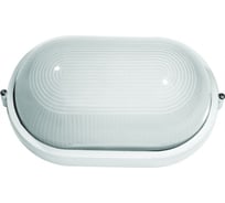 Светильник Camelion НБП 04-100-001 1202S C01, до 130 оС, овал, УХЛ1, "Открытый", 230В, 100Вт 13661