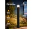 Уличный светильник ARTE LAMP A3710PA-1B A3710PA-1BK 2