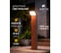Уличный светильник ARTE LAMP A1991PA-1B A1991PA-1BK 2