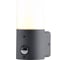 Уличный светильник ESCADA E27*60W Dark grey 581/1A 1
