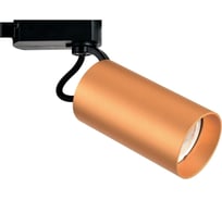 Трек ESCADA 20038TRA/01 GU10 золото матовое 20038TRA/01 SGD