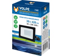 Светодиодный прожектор Volpe Ulf-q517 30w/blue ip65 220-240v black синий свет. корпус черный. tm UL-00010723