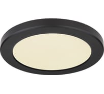 Настенно-потолочный светильник GLOBO LIGHTING lasse globo 12379-18B