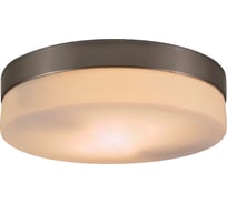Настенно-потолочный светильник GLOBO LIGHTING opal globo 48402