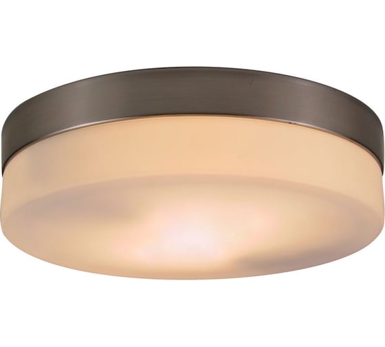 Настенно-потолочный светильник GLOBO LIGHTING opal globo 48402 1