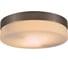 Настенно-потолочный светильник GLOBO LIGHTING opal globo 48402 1