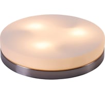 Настенно-потолочный светильник GLOBO LIGHTING opal globo 48403