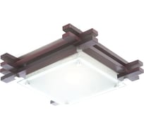 Настенно-потолочный светильник GLOBO LIGHTING edison globo 48324