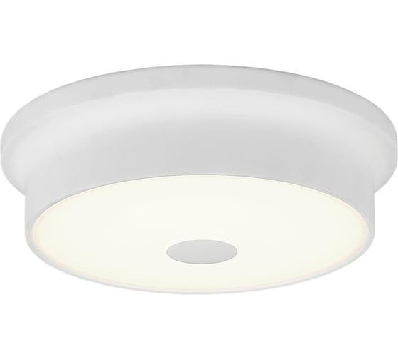 Настенно-потолочный светильник Citilux Фостер-2 Белый CL706210 1