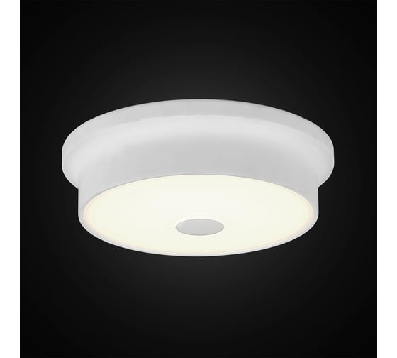 Настенно-потолочный светильник Citilux Фостер-2 Белый CL706210