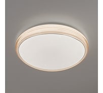 Потолочный светильник Elektrostandard кофе 40008/1 LED a041564