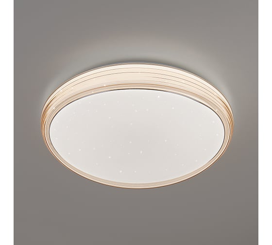 Потолочный светильник Elektrostandard кофе 40008/1 LED a041564 1