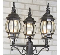 Садово-парковый светильник Elektrostandard NLG99HL005 / черный нов.уп a025754