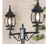 Садово-парковый светильник Elektrostandard NLG99HL004 /черный нов.уп a025751