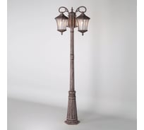 Садово-парковый светильник Elektrostandard Virgo F/2 GLXT-1450F/2 / капучино a031925