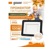 Светодиодный прожектор Gauss Elementary 100W 9490lm IP65 3000К черный 613527100