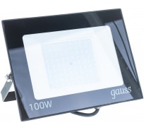 Светодиодный прожектор Gauss Elementary 100W 9450lm 3000К 175-265V IP65 черный LED 1/10 SQ613527100