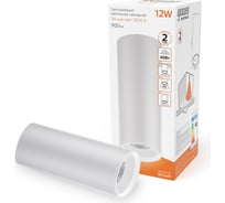 Накладной LED светильник Gauss 12W (белый/белый) 3000K 79x200мм, HD031