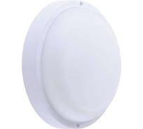 Накладной светильник PHILIPS WT045C LED20/NW PSU CFW L1654 1277660