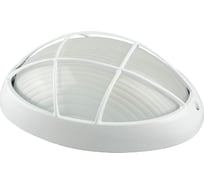 Влагозащищенный светильник СВЕТОЗАР ПАРУС SV-57303-W, уличный