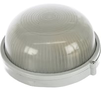 Влагозащищенный светильник СВЕТОЗАР, уличный SV-57251-W