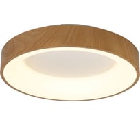 Потолочный светильник MANTRA niseko ii 8588